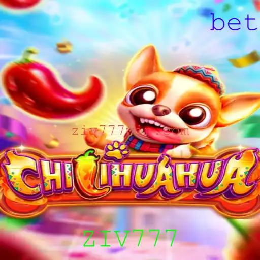 Descubra o Fascinante Jogo CHILIHUAHUA: Regras e Estratégias